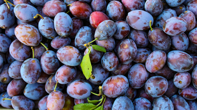 ripened plums in pile