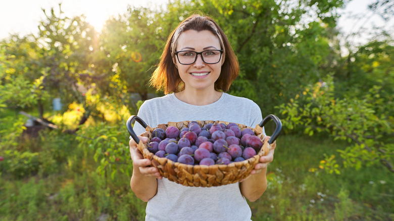 woman holding basket of plums