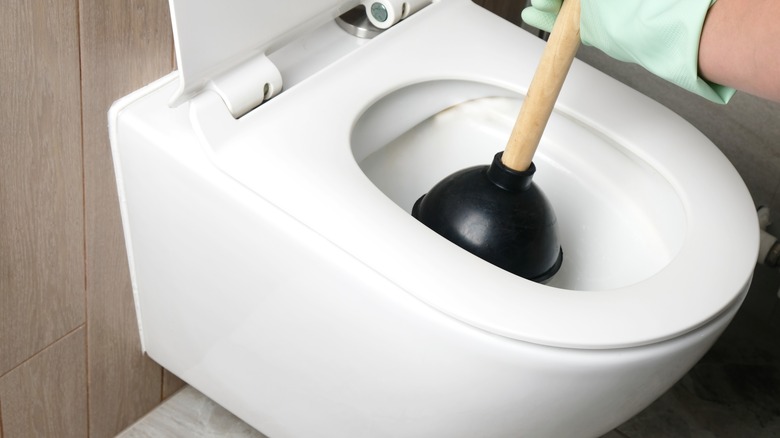 plunger in toilet