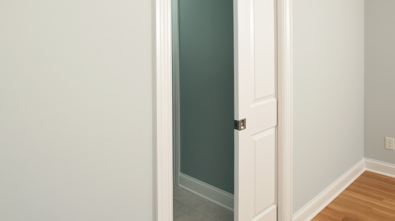 pocket doors white