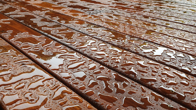 Water standing on varnished boards