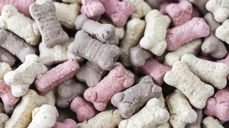 collection of dog treats