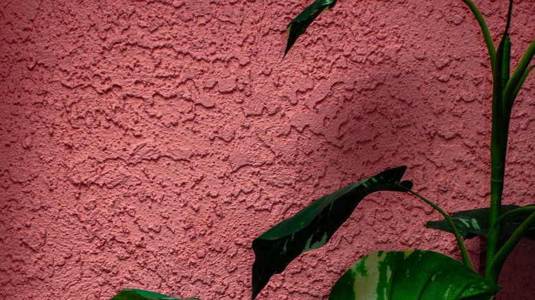 Orange peel wall in pink