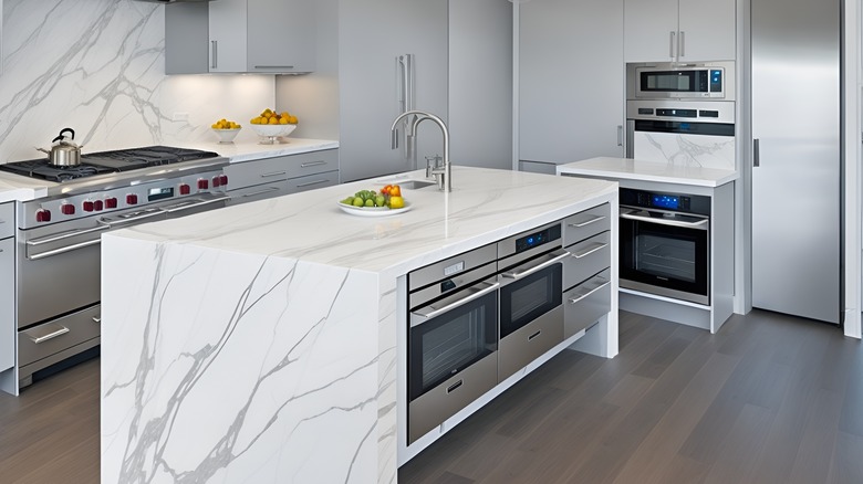 luxury appliances in modern kitchen