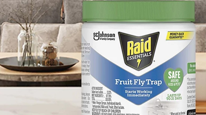 A container of Raid Fruit Fly Trap in a living room