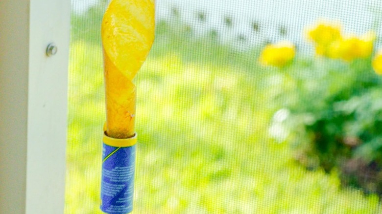 A hanging Raid Fly Ribbon