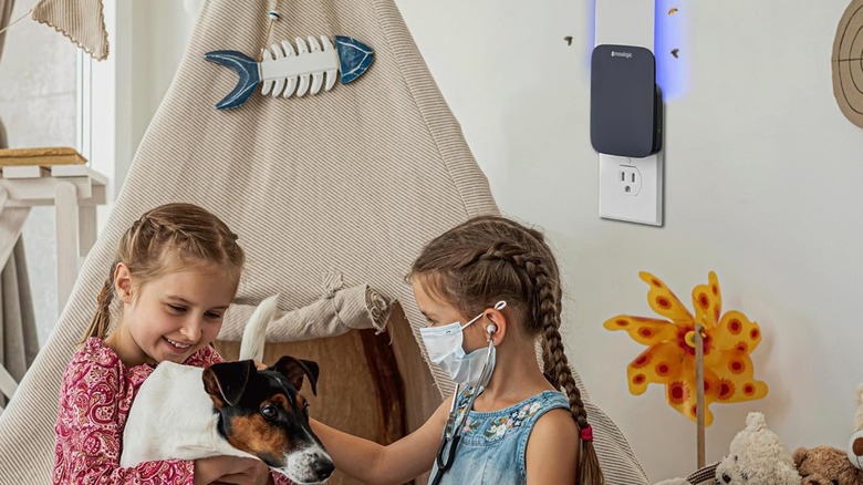 Two kids and a dog playing in front of a Mosalogic flying insect trap