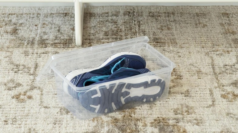 blue sneakers in open plastic shoe box on carpet