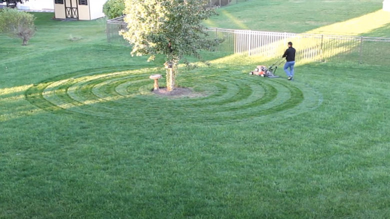 man making circular lawn pattern