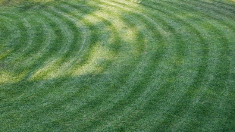 Popular Mowing Patterns You Should Try Out On Your Lawn