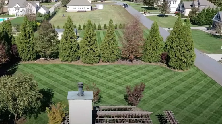 lawn with diamond pattern