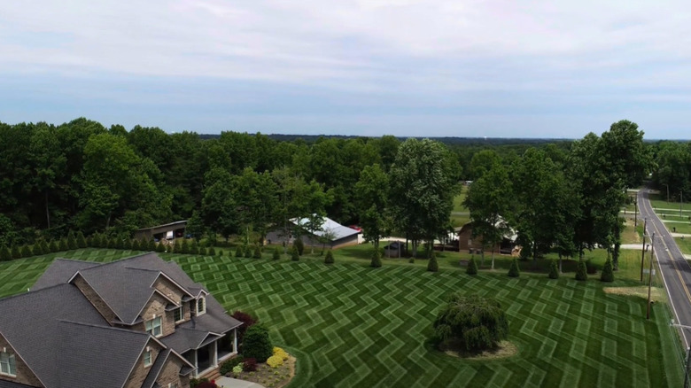 zig-zag lawn mowing design