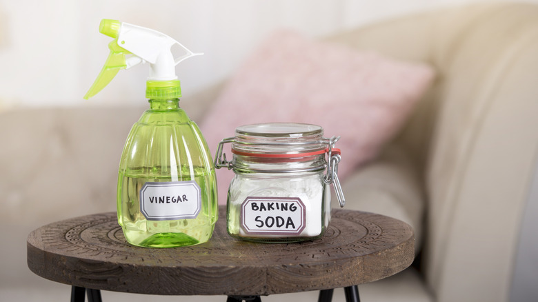 Vinegar in spray bottle and baking soda in jar on table