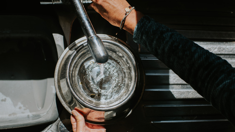 person filling up glass bowl of water at sink