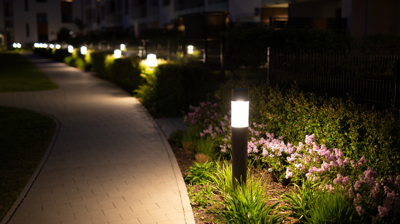 Walkway lights in a front yard