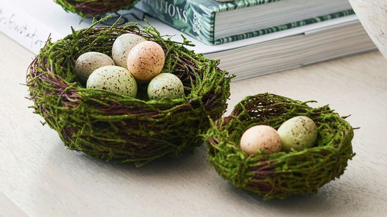 moss nests with speckled eggs