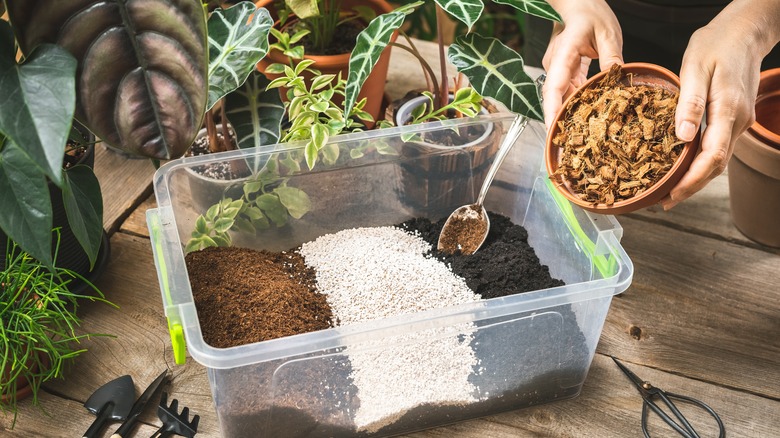 Preparing soil for plant potting