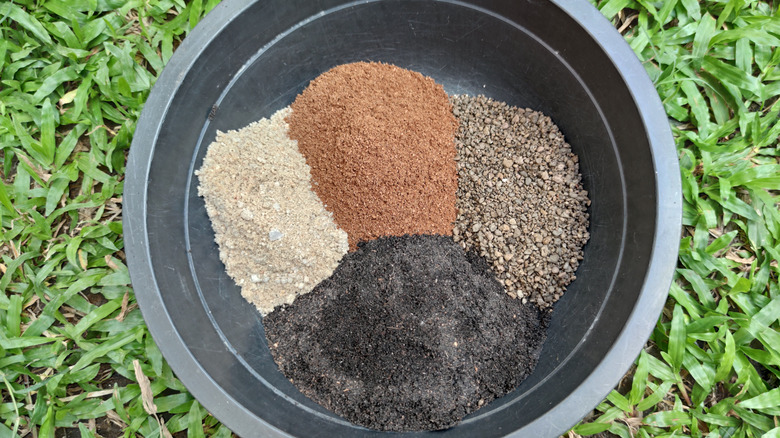 Components of cactus soil