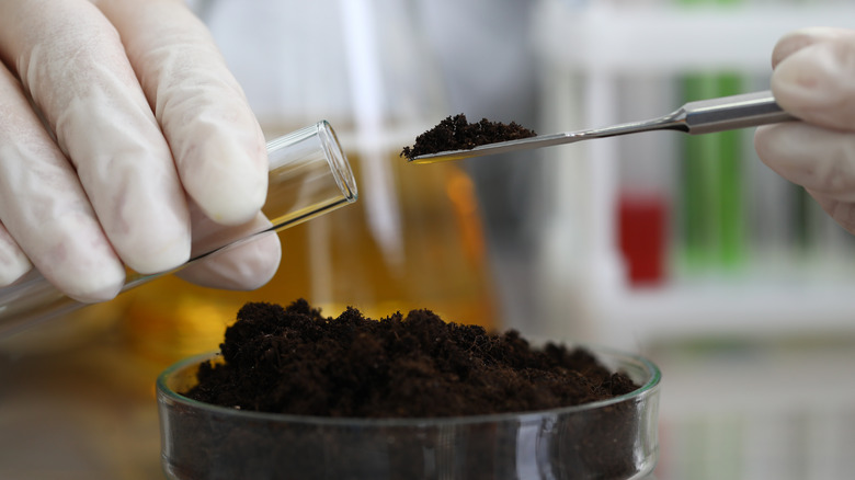 Lab technician investigates soil contents