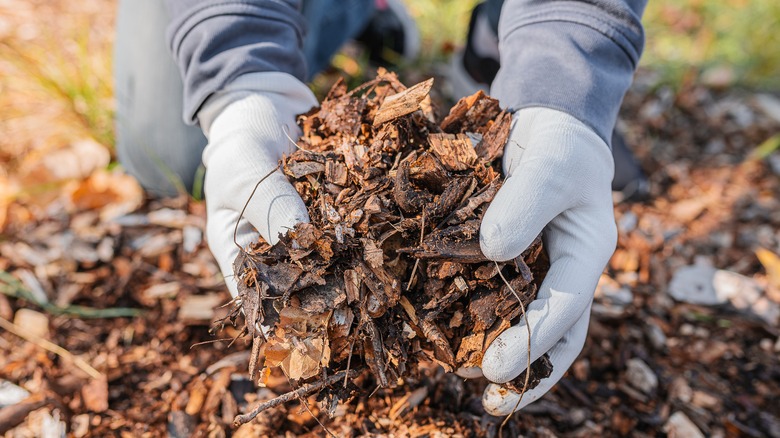 Holding wood chips used for mulch