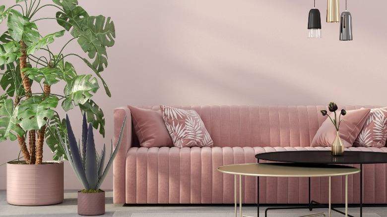 Pink living room with planters