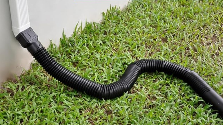 A downspout with a diverter running onto green grass