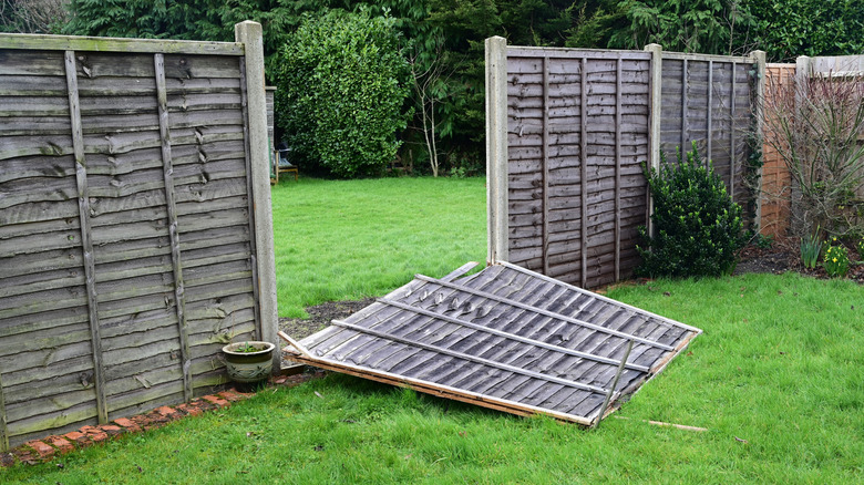 A wooden fence with a section that fell over