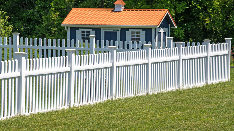 A  white picket fence with nothing around it except for short grass and a neat blue, white, and red garden shed in the background