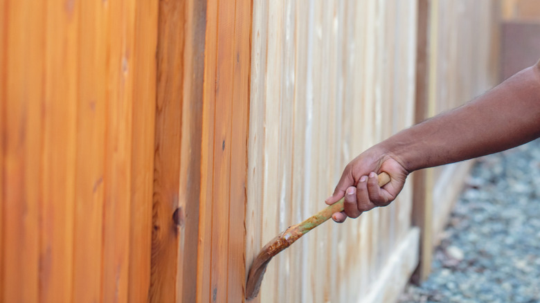 A person staining a fence