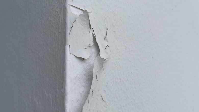 A chipped corner of an interior wall