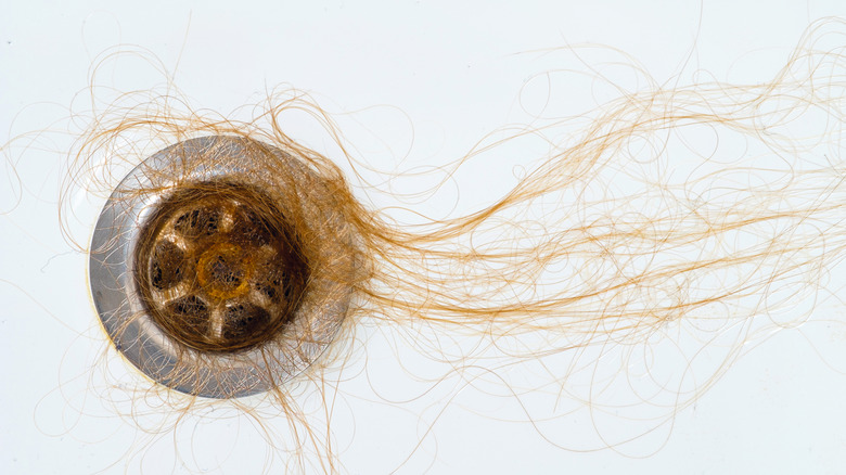 Red hair stuck in shower drain