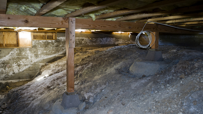 Crawl space under house