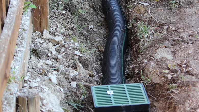 French drain