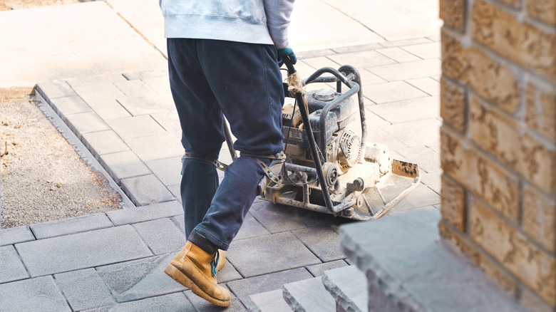 using compactor to apply polymeric sand