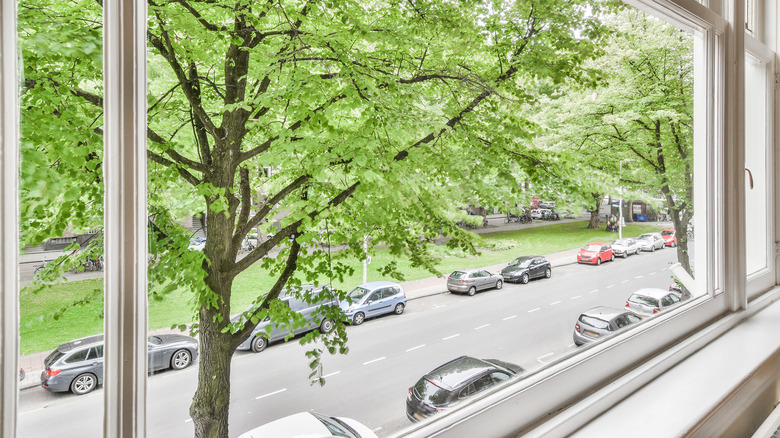 A window faces a street lined with trees and cars