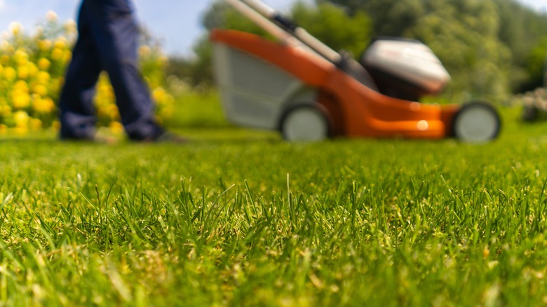 Person mowing their lawn