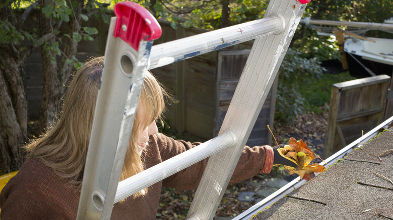 Woman cleaning leaves from roof