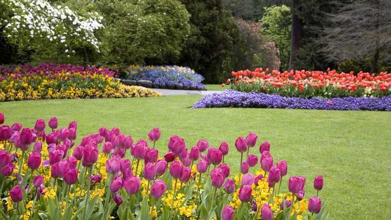 Lawn and flower gardens