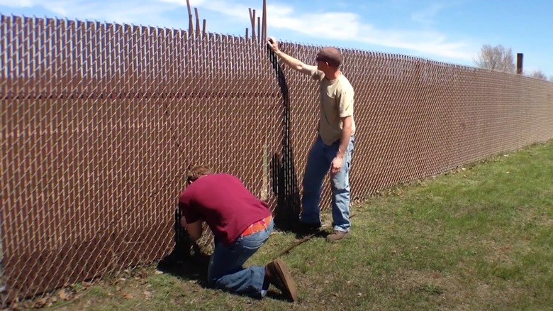 people installing slats chain link fence