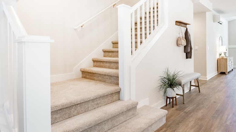 beige carpeted stairs in entry