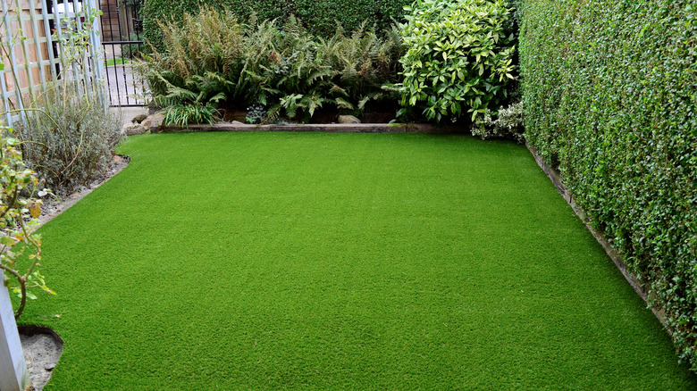 Lawn with artificial grass
