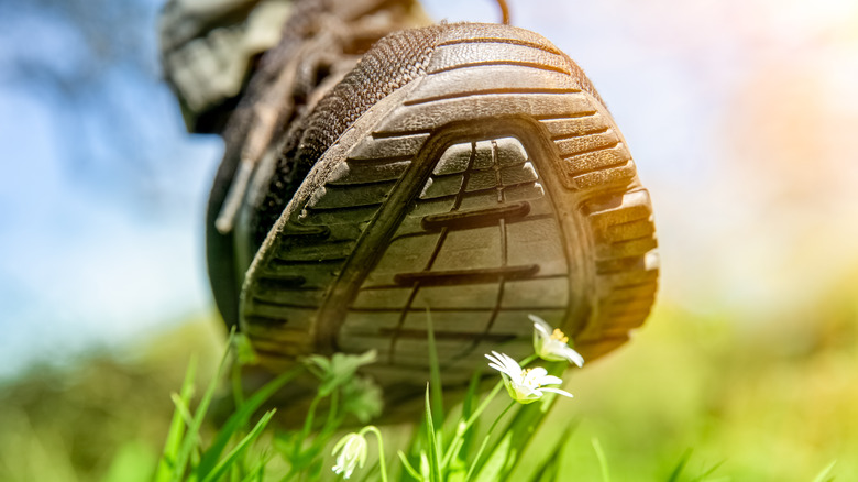 trampled grass under boot