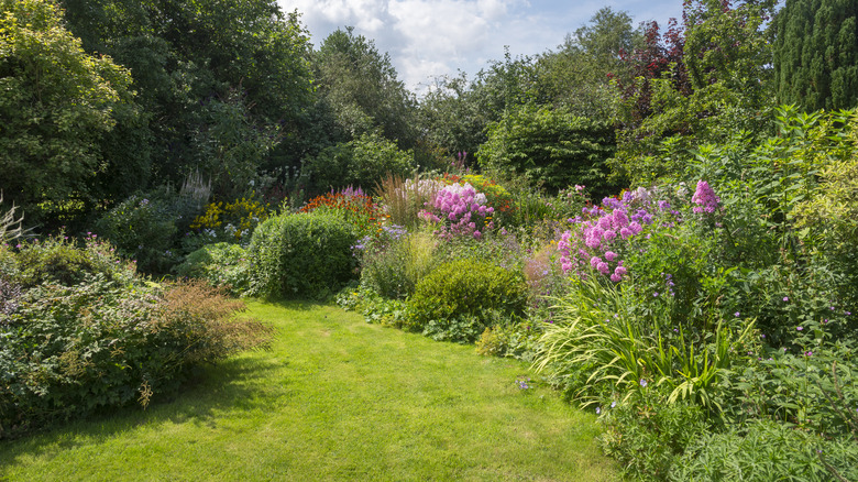 garden with sun and shade