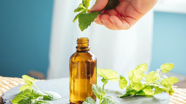 peppermint essential oil