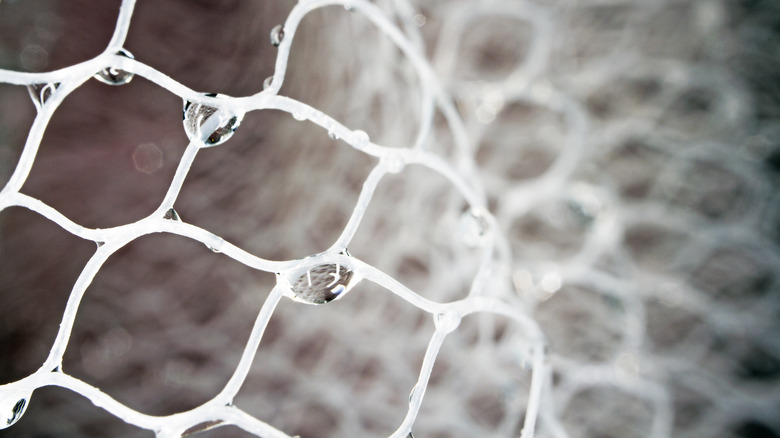 close up image of shower pouf mesh