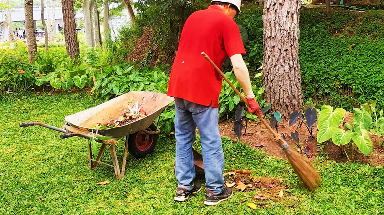 Persson cleaning plant litter in garden