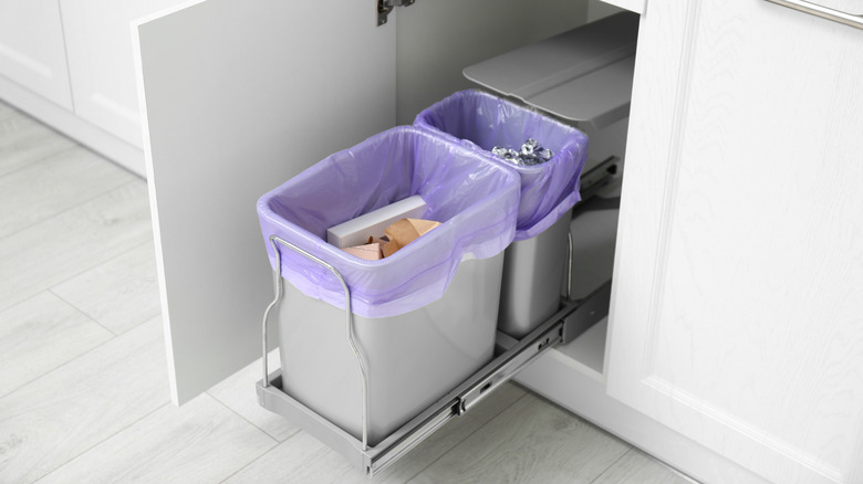 Pull-out trash bin