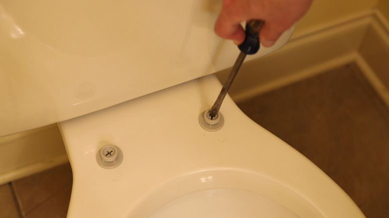 how-to-fix-a-loose-toilet-seat