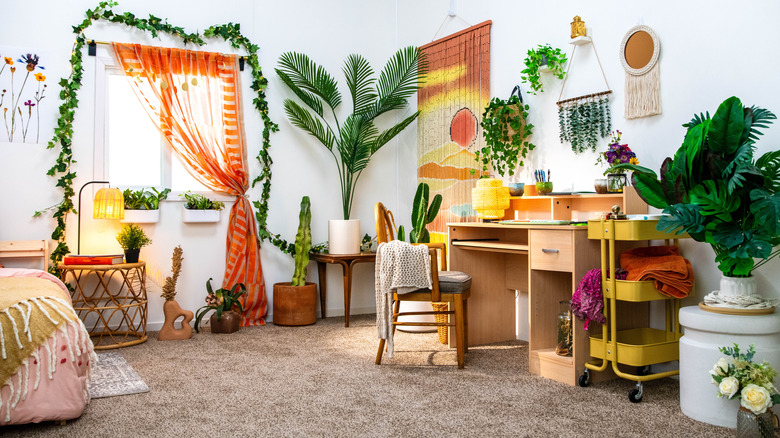 Command Brand's Boho Plant Parent dorm room designed by Bobby Berk