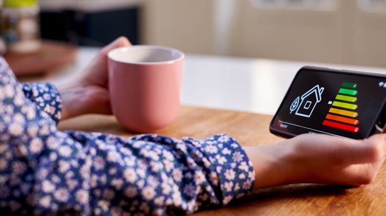 person holding phone with home energy diagram 